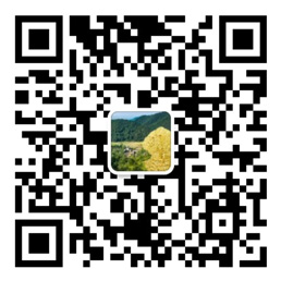 口袋牛店app下载官方
